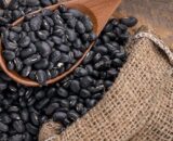 Black Kidney bean