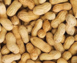 Pure Sweet Dried And Raw Peanut