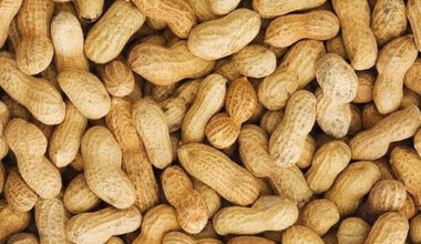 Pure Sweet Dried And Raw Peanut
