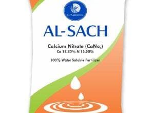 AL SACH CALCIUM NITRATE FERTILIZER