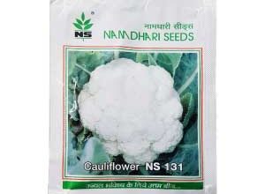 NS 131 Cauliflower Hybrid Seeds – High Yield, Pure White & Ideal for Summer