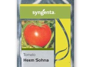 HEEMSOHNA TOMATO