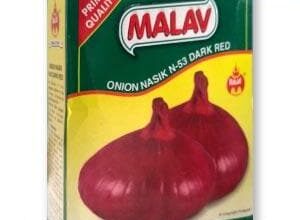 NASIK RED ONION (N-53)