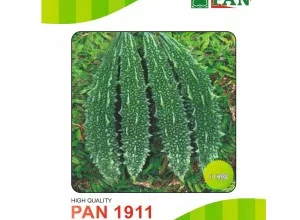 PAN 1911 HYBRID BITTER GOURD (DARK GREEN)