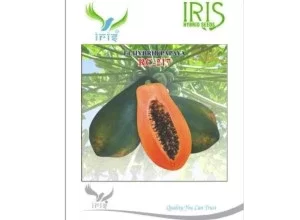 IRIS HYBRID FRUIT SEEDS F1 HYBRID PAPAYA RC-217