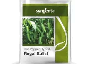 ROYAL BULLET CHILLI