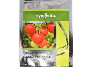 SAAHO TOMATO [TO-3251]