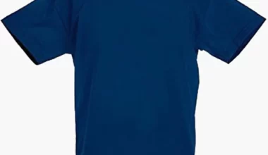 Men's 100% Cotton Blue Solid T-shirt