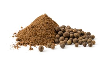 All spice seed powder