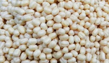 Urad(Biri) dal