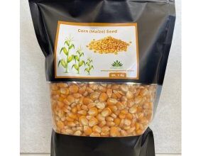 PIONEER AGRO CORN SEED/ MAIZE SEED