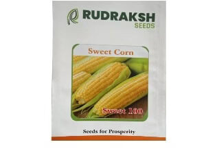RUDRAKSH SWEET 100 SWEET CORN (GOLDEN YELLOW, CYLINDRICAL) SEEDS
