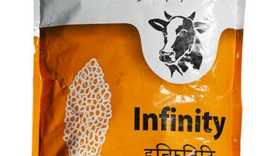 INFINITY (MULTI-CUT SORGHUM SUDAN GRASS)