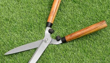 Hedge Shear with Wooden Handle No. MMI-78 - Gardening Tool